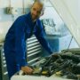Signs Your Vehicle Needs Professional Collision Repair After a Minor Accident